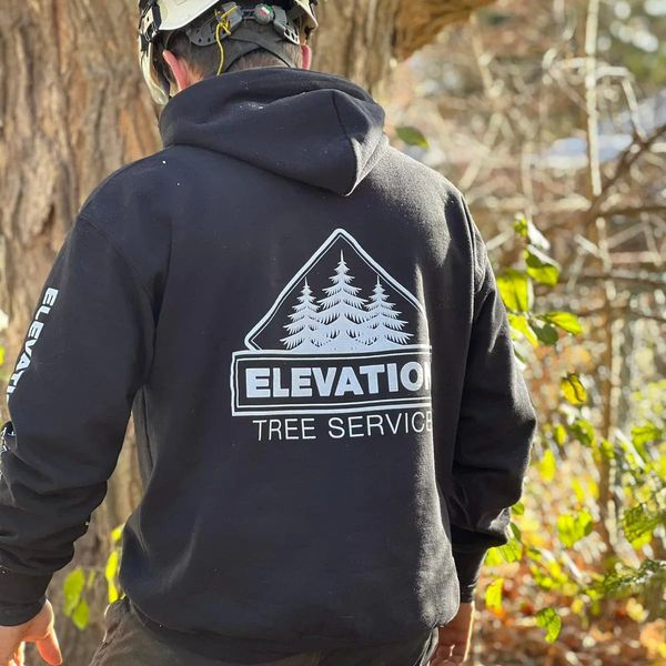 About Elevation Tree Service